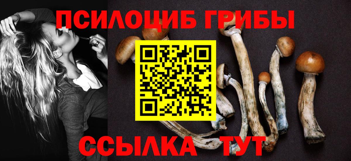 Псилоцибиновые грибы мухоморы  как найти закладки  Галлюциногенные грибы GOLDEN TEACHER  Кореновск  Вход с VPN 