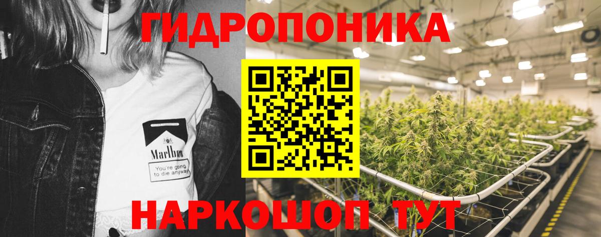МАРИХУАНА THC 21% Кореновск